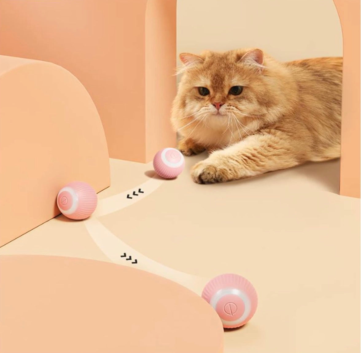 😍 CatRocket Ball (Automaticky sa pohybujúca valivo loptička pre domáce mačky)
