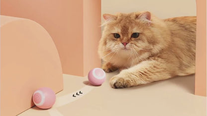 😍 CatRocket Ball (Automaticky sa pohybujúca valivo loptička pre domáce mačky)